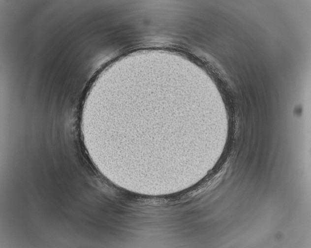 X0000116611210201001221312