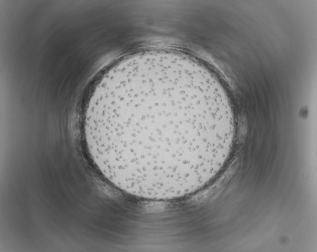 X0000116611211201001221312