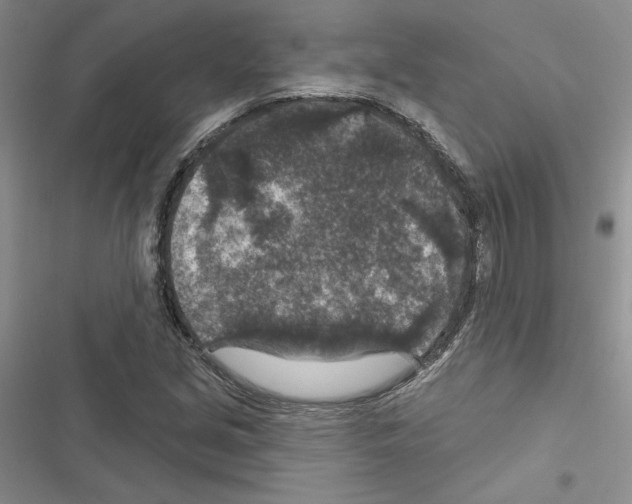 X0000116611213201001221312