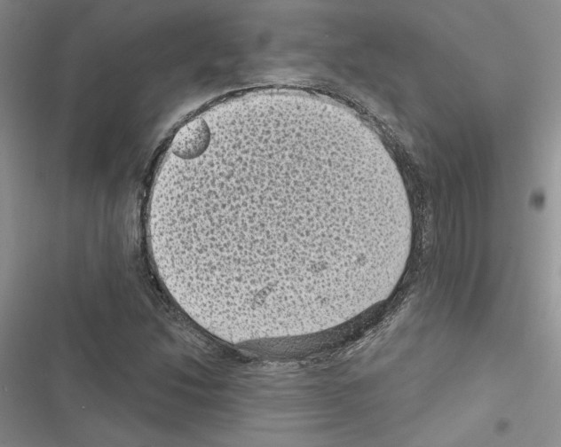 X0000116611214201001221312