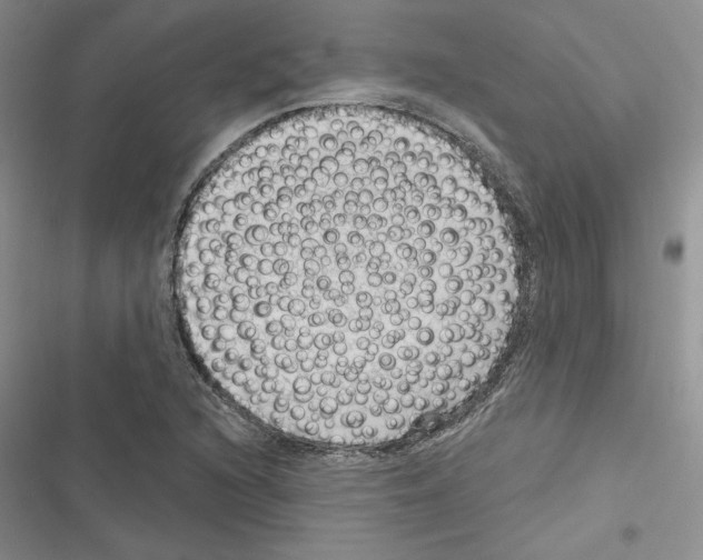 X0000116611216201001221312