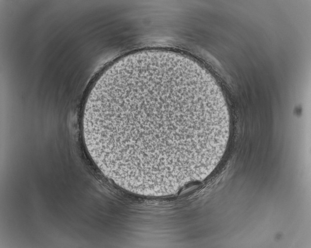 X0000116611218201001221312