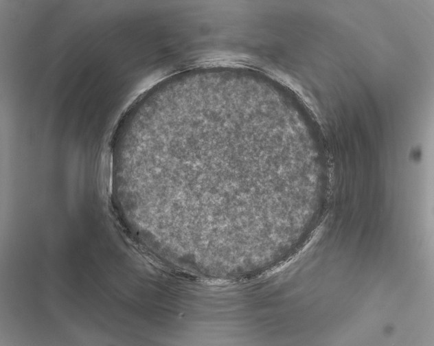 X0000116611219201001221312