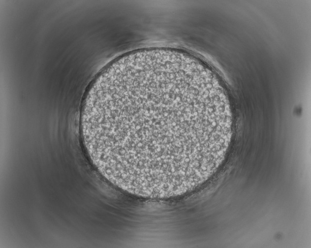 X0000116611220201001221312