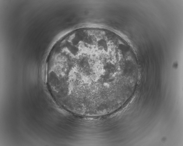 X0000116611223201001221312