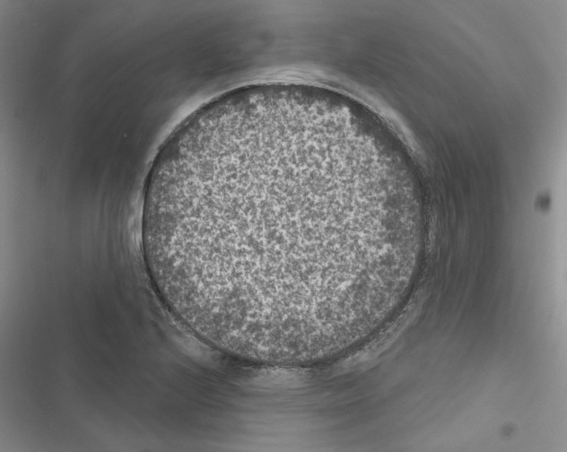 X0000116611224201001221312