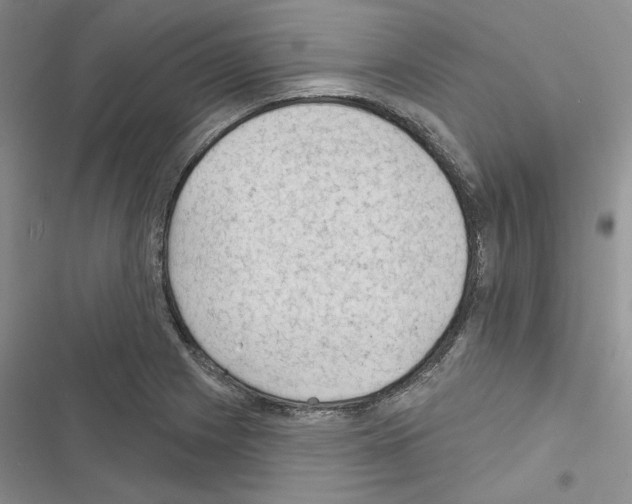 X0000116611225201001221312