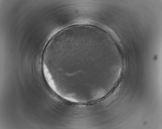 X0000116611226201001221312