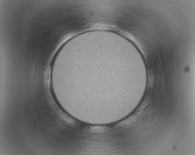 X0000116611227201001221312