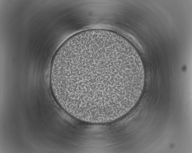 X0000116611228201001221312