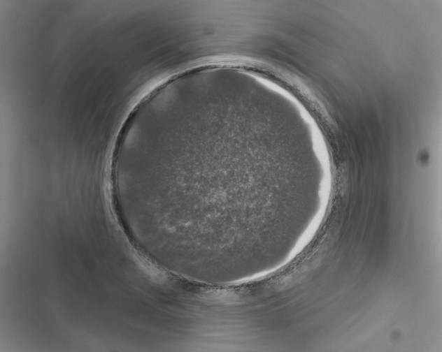 X0000116611229201001221312