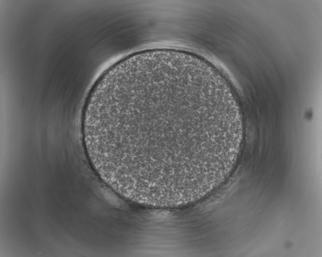 X0000116611230201001221312