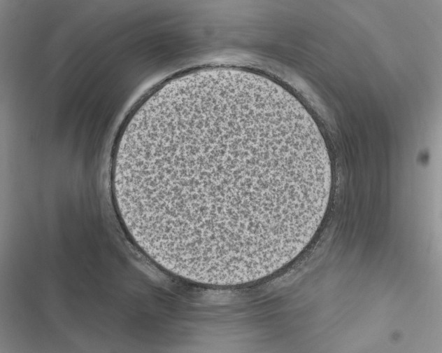 X0000116611232201001221312