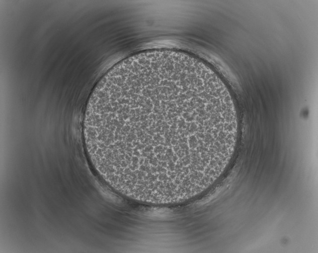 X0000116611233201001221312