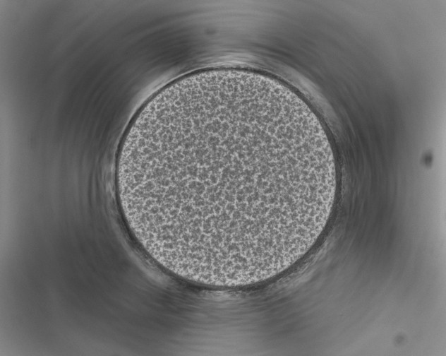 X0000116611234201001221312