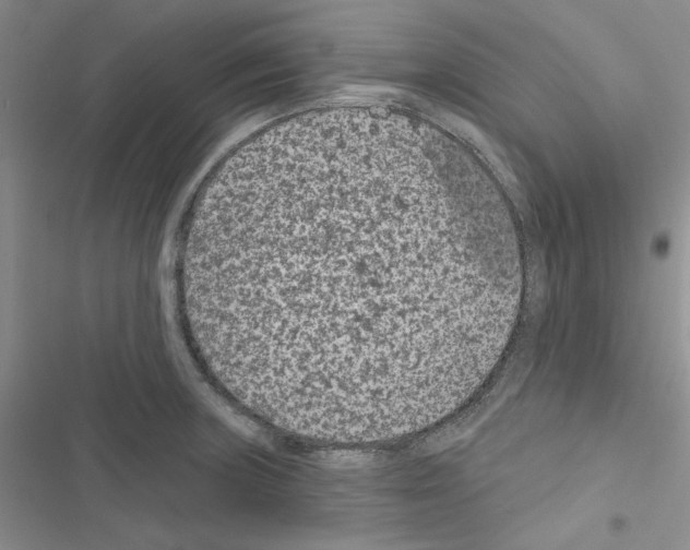 X0000116611235201001221312