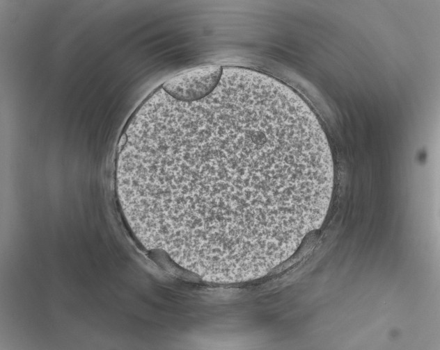 X0000116611236201001221312