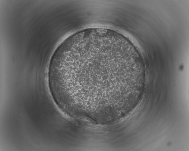 X0000116611237201001221312