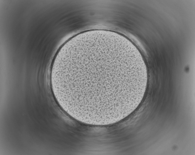 X0000116611238201001221312