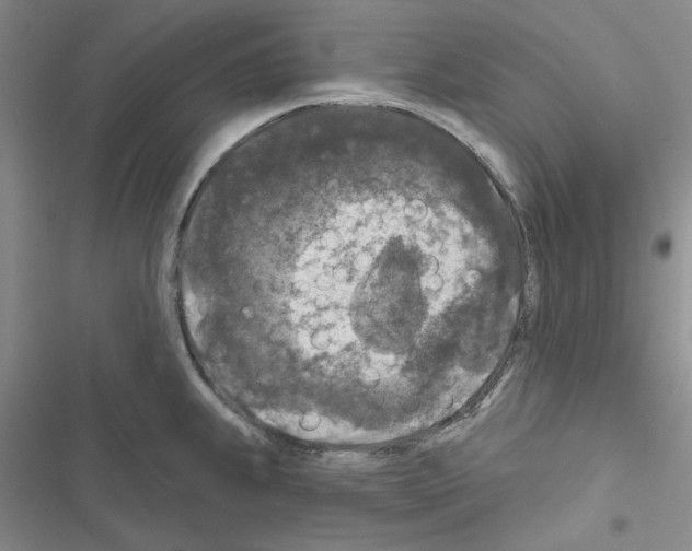 X0000116611239201001221312