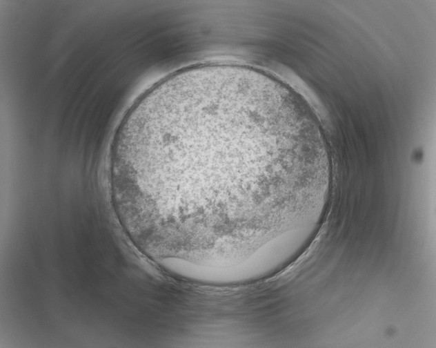 X0000116611240201001221312