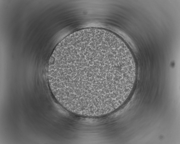 X0000116611241201001221312