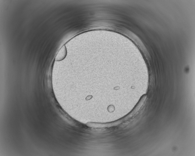 X0000116611242201001221312