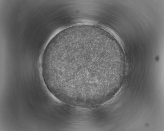 X0000116611243201001221312