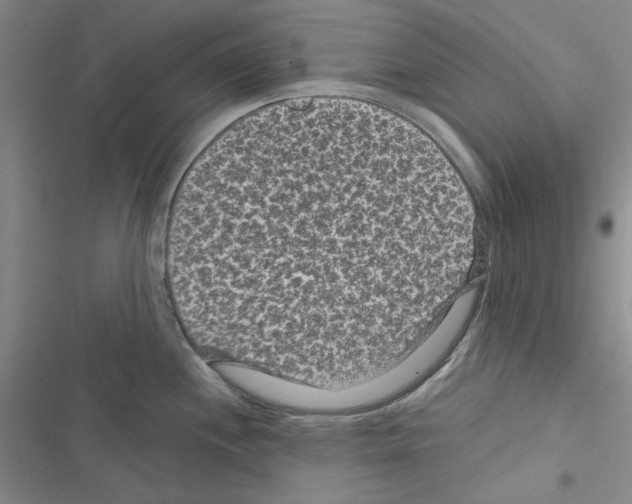 X0000116611244201001221312