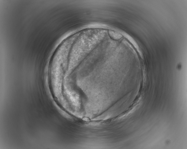 X0000116611245201001221312