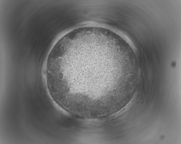 X0000116611247201001221312