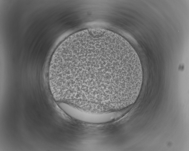 X0000116611248201001221312