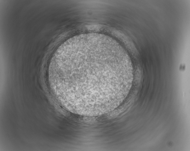 X0000116611249201001221311