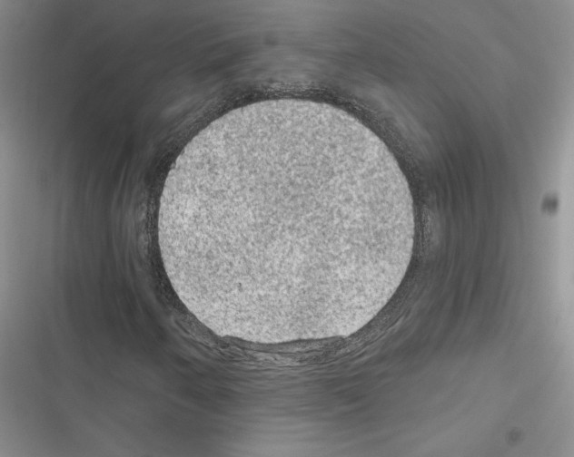 X0000116611250201001221311