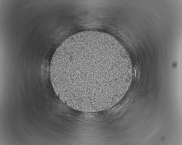 X0000116611251201001221311