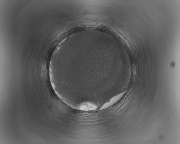 X0000116611252201001221311