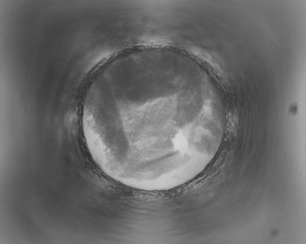 X0000116611254201001221311