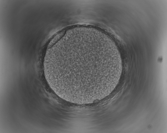 X0000116611256201001221311