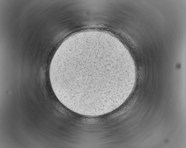 X0000116611257201001221311