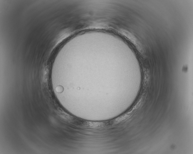 X0000116611258201001221311