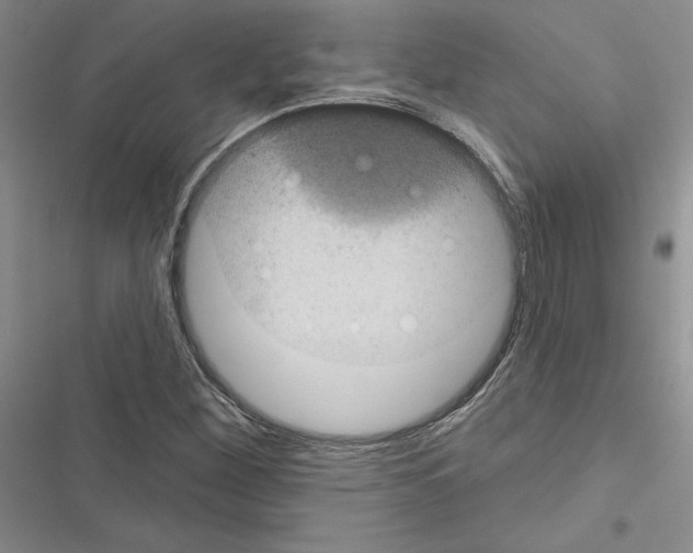 X0000116611260201001221311