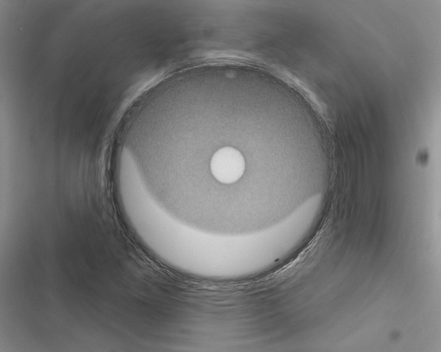 X0000116611261201001221311