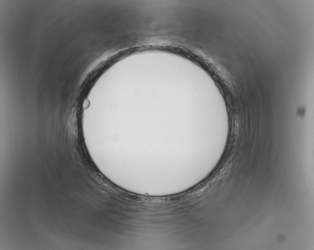 X0000116611262201001221311