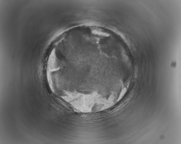 X0000116611263201001221311