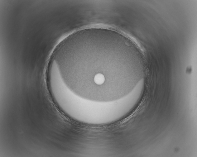 X0000116611264201001221311