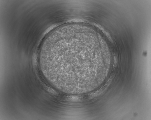 X0000116611266201001221311