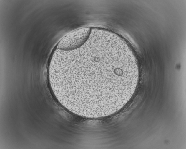 X0000116611268201001221311