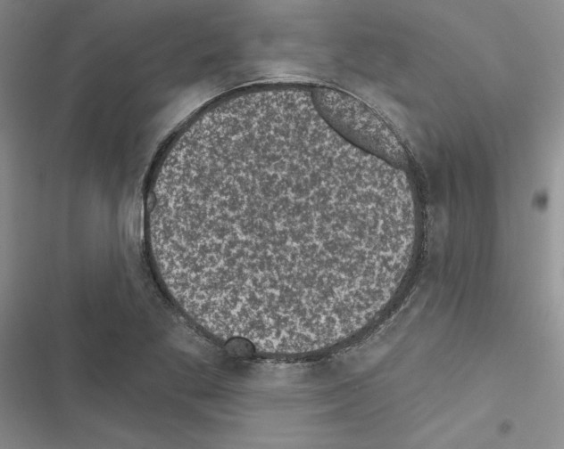 X0000116611269201001221311