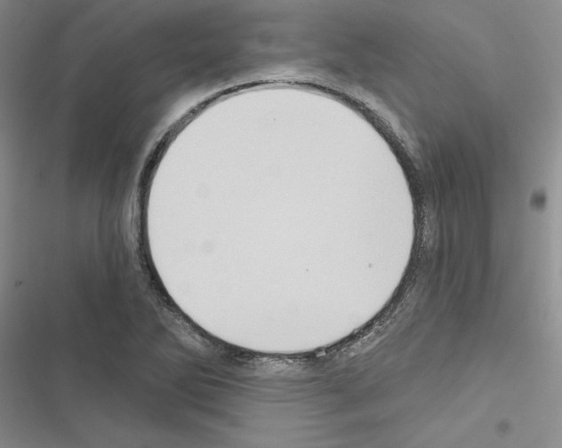 X0000116611270201001221311