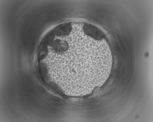 X0000116611271201001221311